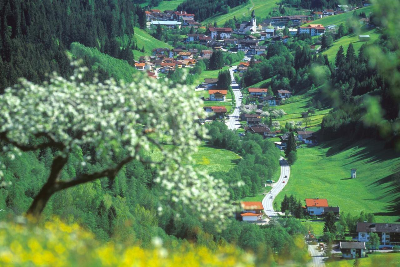 Готель Haus Am Wildbach Ауффах Екстер'єр фото